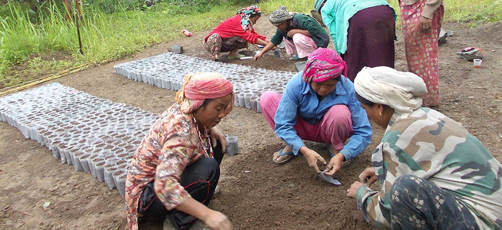 DSSS, IMPHAL | Diocesan Social Service Society DSSS, IMPHAL | Diocesan Social Service Society