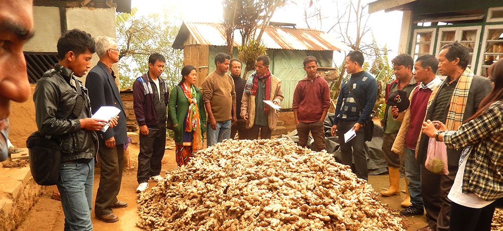 DSSS, IMPHAL | Diocesan Social Service Society DSSS, IMPHAL | Diocesan Social Service Society