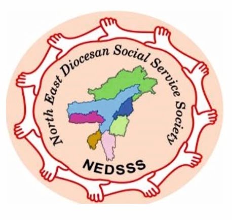 NEDSSS logo